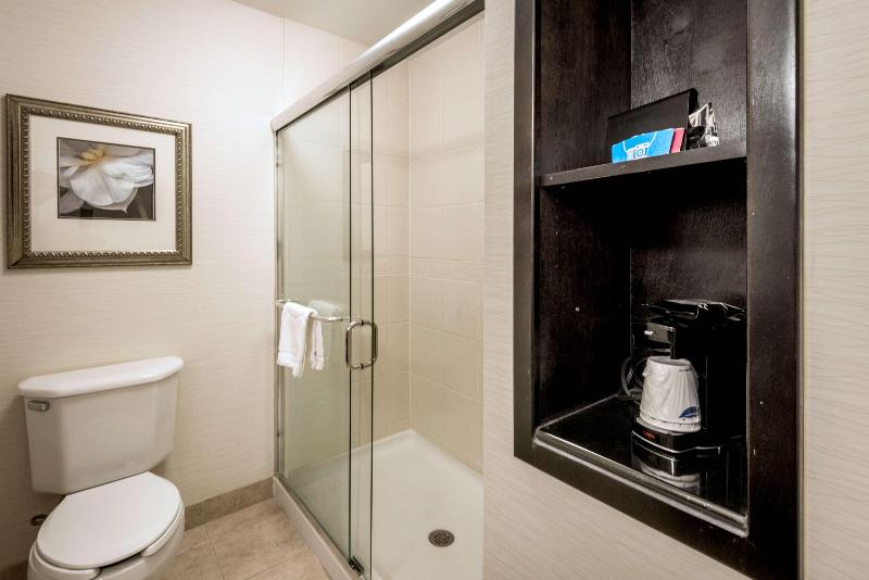 سوئیت با تخت بزرگ, Best Western Plus Hobby Airport Inn And Suites