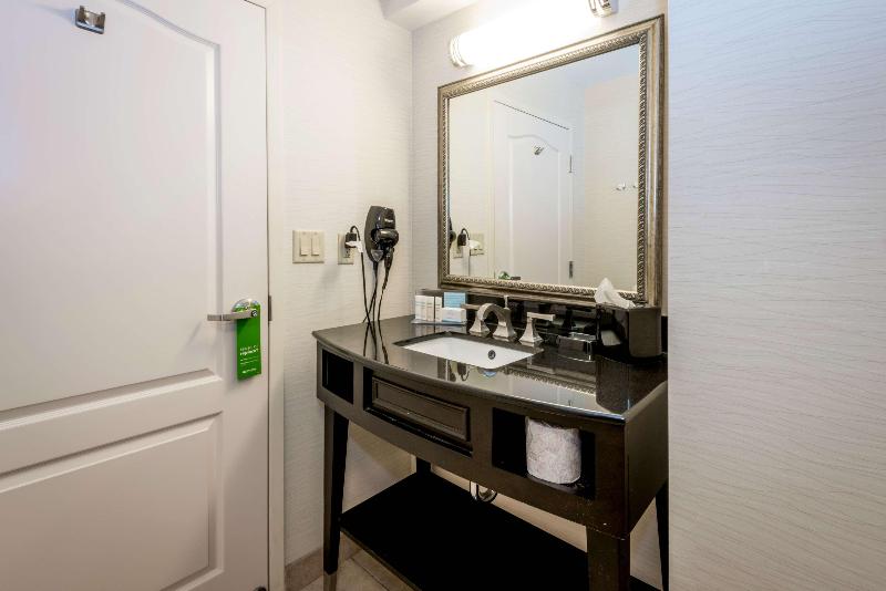 سوئیت با تخت بزرگ, Best Western Plus Hobby Airport Inn And Suites