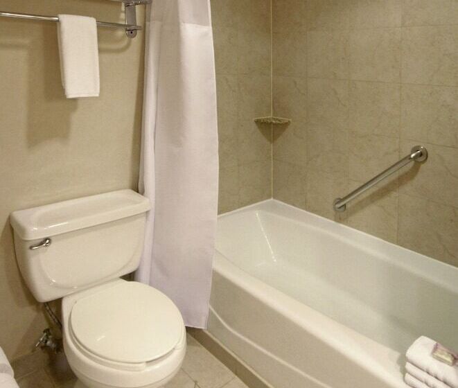 ２ダブルベッドのスタンダードルーム, Crowne Plaza Torreon, An Ihg