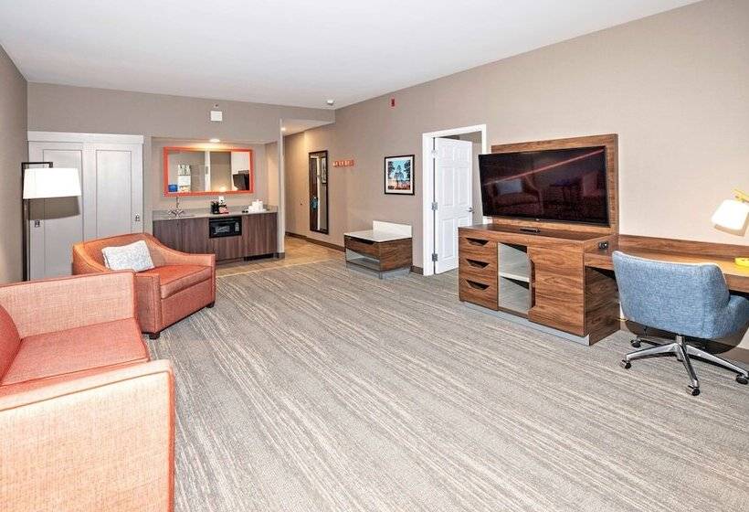 סוויטה, Hampton Inn By Hilton Ottawa