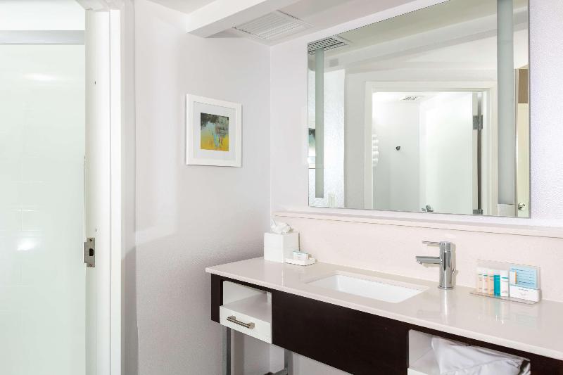 带大床的套房, Hampton Inn & Suites Arlington Crystal City Dca