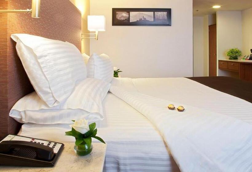스탠다드 룸 킹사이즈 침대, Holiday Inn Orizaba, An Ihg