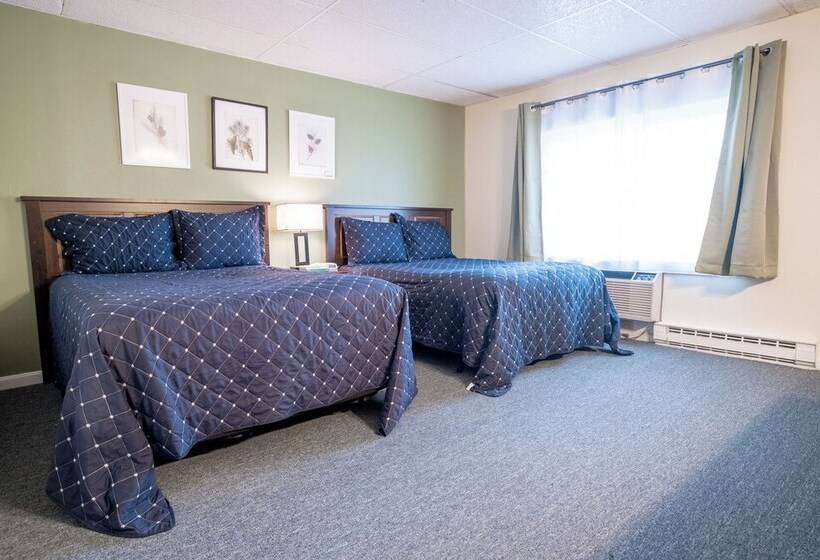 Номер Стандарт, Acadia Pines Motel