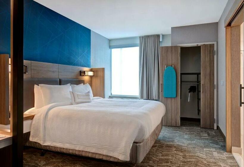 Люкс Кровать Кинг, Springhill Suites By Marriott Orangeburg