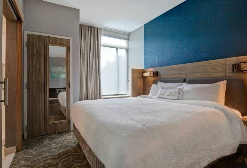 Люкс Кровать Кинг, Springhill Suites By Marriott Orangeburg