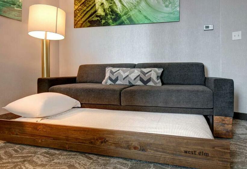 Люкс Кровать Квин, Springhill Suites By Marriott Orangeburg