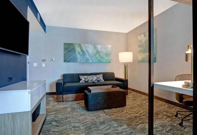 Люкс Кровать Квин, Springhill Suites By Marriott Orangeburg