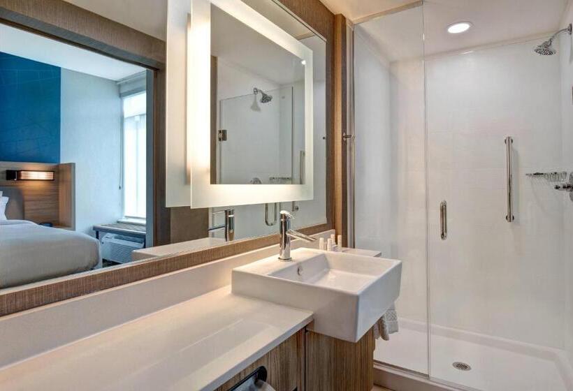 Люкс Адаптированный для Инвалидов, Springhill Suites By Marriott Orangeburg