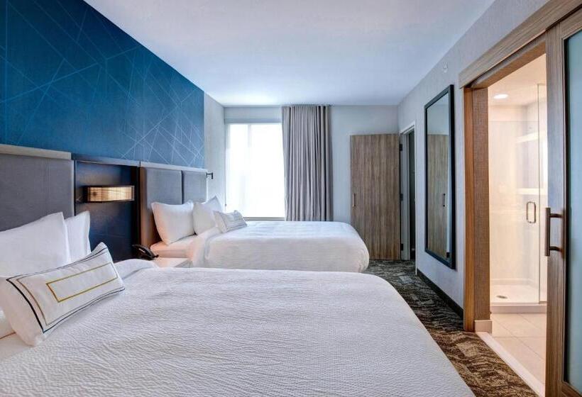 Люкс Адаптированный для Инвалидов, Springhill Suites By Marriott Orangeburg