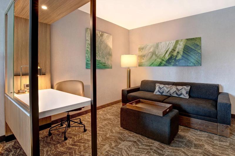 Люкс Кровать Квин, Springhill Suites By Marriott Orangeburg