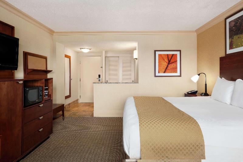 اتاق استاندارد با تخت بزرگ, Doubletree By Hilton Hotel Dallas – Love Field