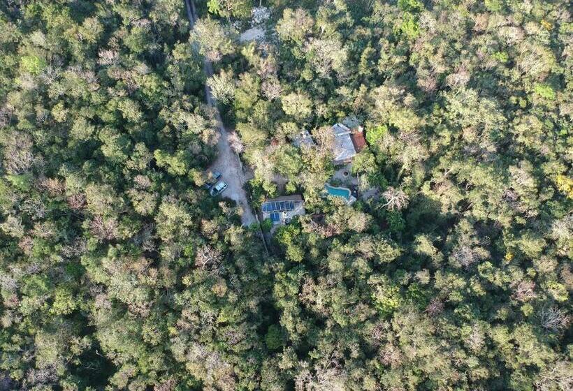 غرفة ديلوكس, Verdeamar Eco Lodge Jungle Retreat