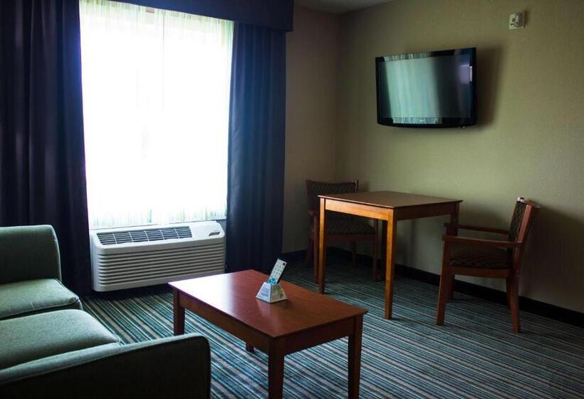 חדר דלוקס עם מיטת קינג, Best Western Plus Menomonie Inn & Suites
