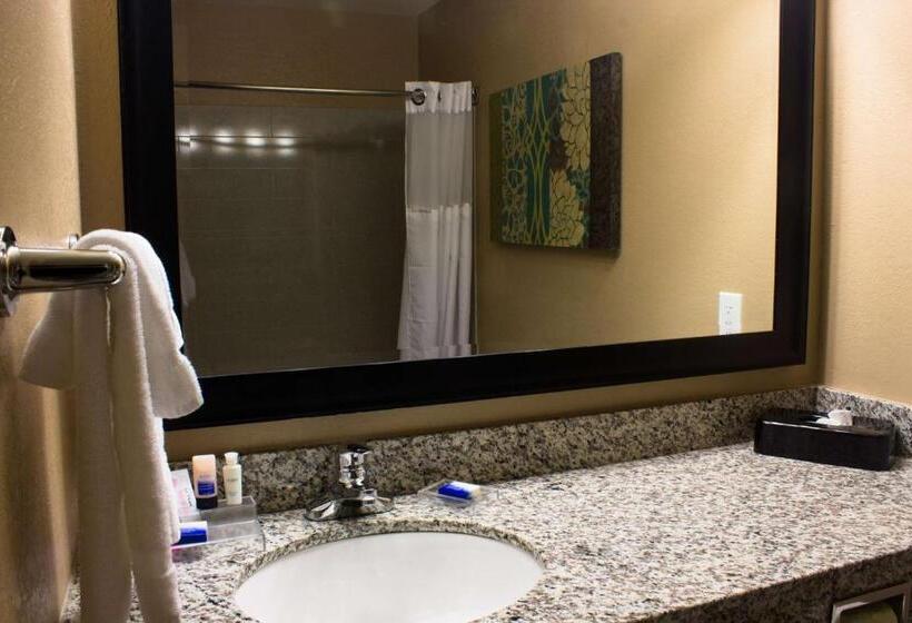 Люкс Deluxe Кровать Кинг, Best Western Plus Menomonie Inn & Suites