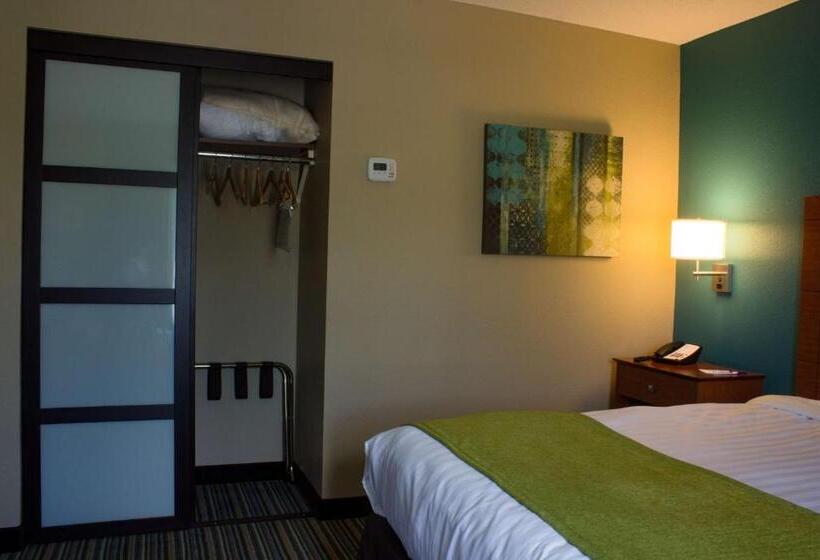 Студио Стандарт Кровать Кинг, Best Western Plus Menomonie Inn & Suites