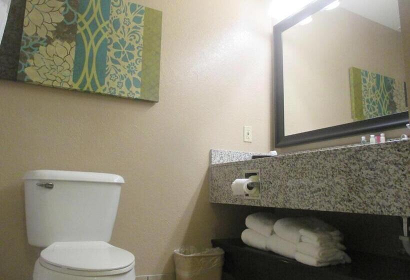חדר דלוקס עם מיטת קינג, Best Western Plus Menomonie Inn & Suites