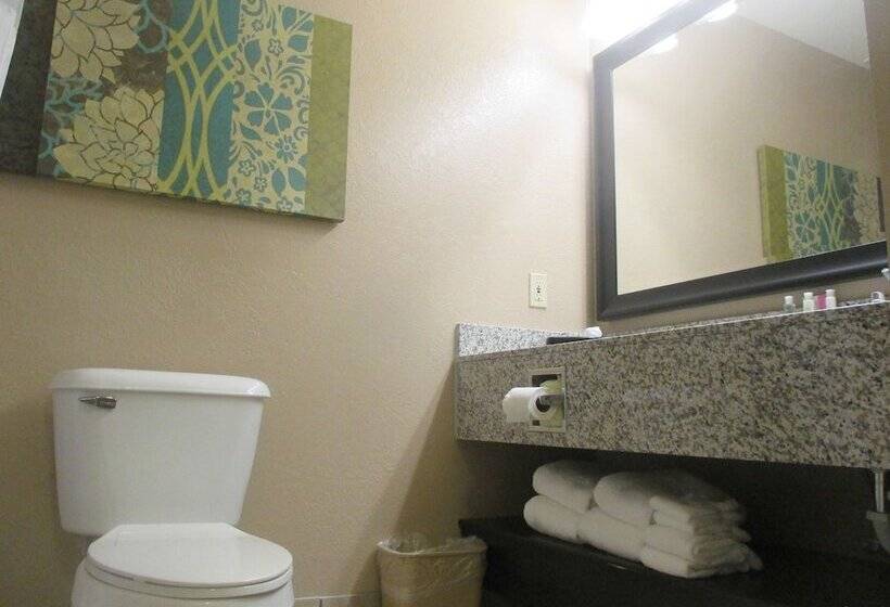 Люкс Кровать Кинг, Best Western Plus Menomonie Inn & Suites