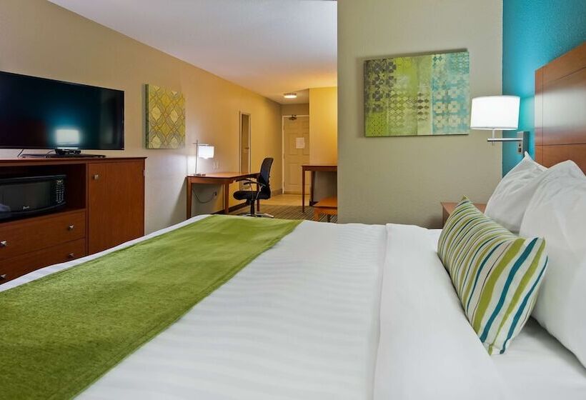 Студио Стандарт Кровать Кинг, Best Western Plus Menomonie Inn & Suites