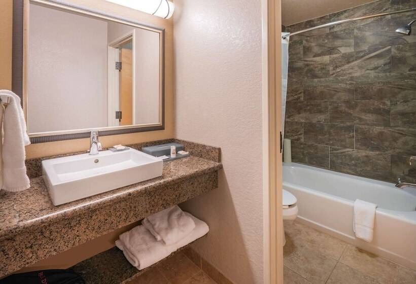 Номер Стандарт Двуспальная Кровать, Best Western Plus Riverfront Hotel And Suites