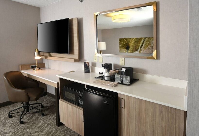 Люкс Адаптированный для Инвалидов, Springhill Suites Des Moines West