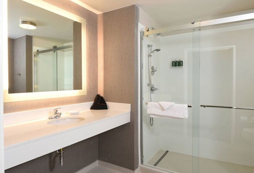 Люкс Адаптированный для Инвалидов, Springhill Suites Des Moines West