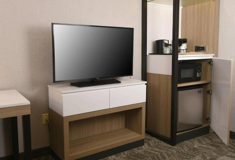 Люкс Адаптированный для Инвалидов, Springhill Suites Des Moines West