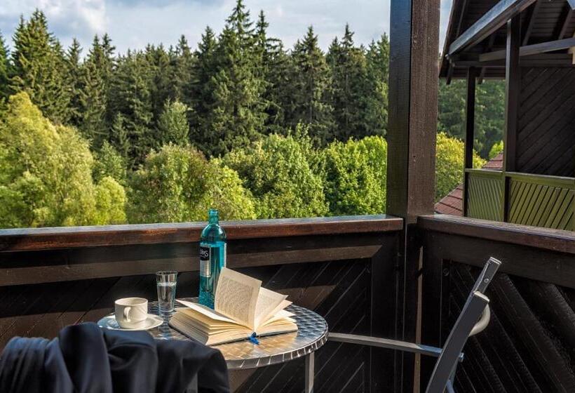 Номер Стандарт, Relexa Hotel Harz Wald Braunlage Gmbh
