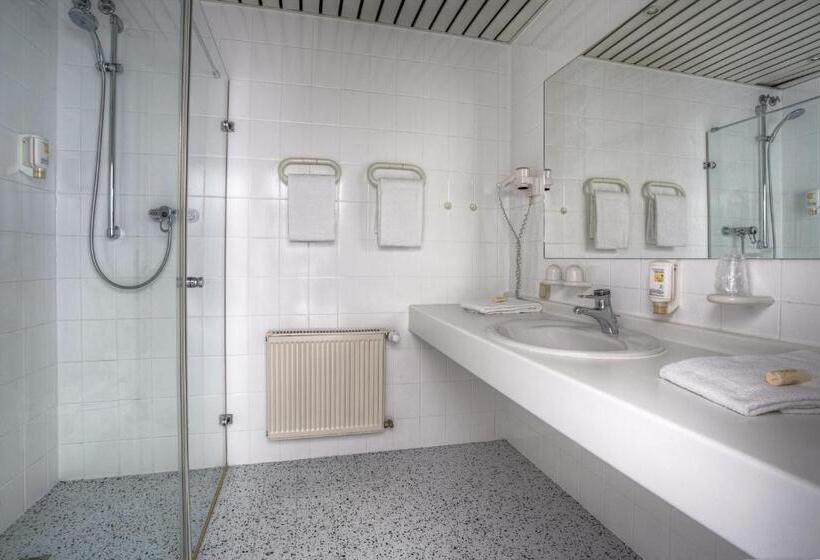 Номер Стандарт Трехместный, Euro Park Hotel Hennef