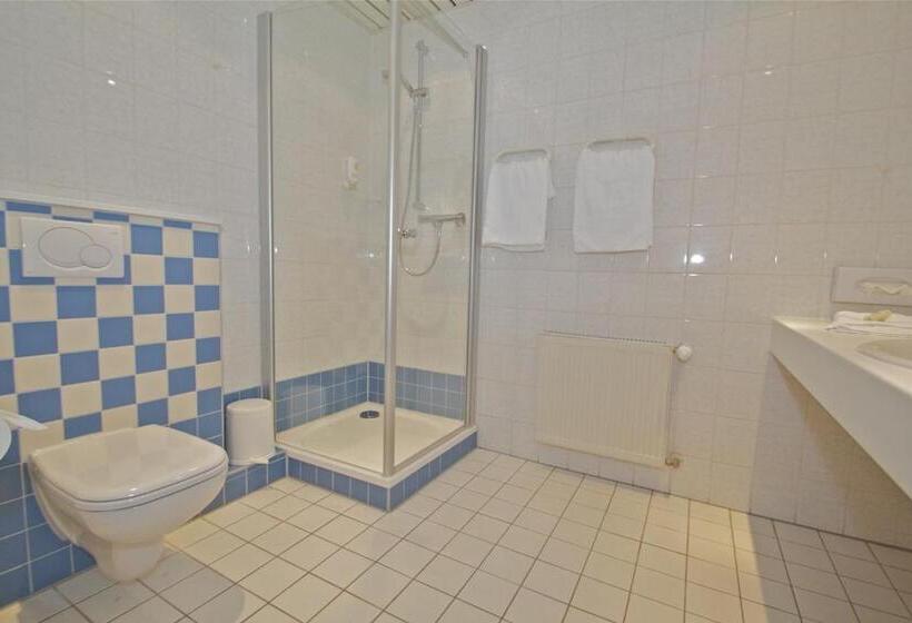 Номер Комфорт Индивидуальный, Euro Park Hotel Hennef
