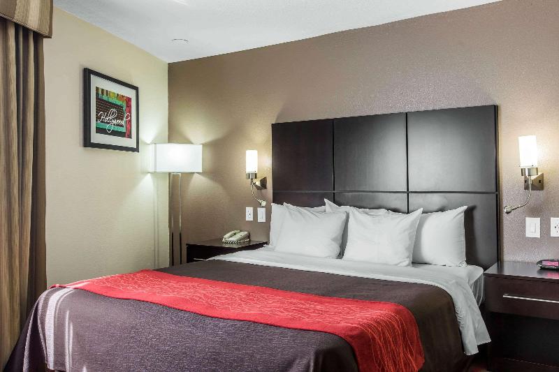 اتاق استاندارد با تخت بزرگ, Comfort Inn Los Angeles Near Hollywood
