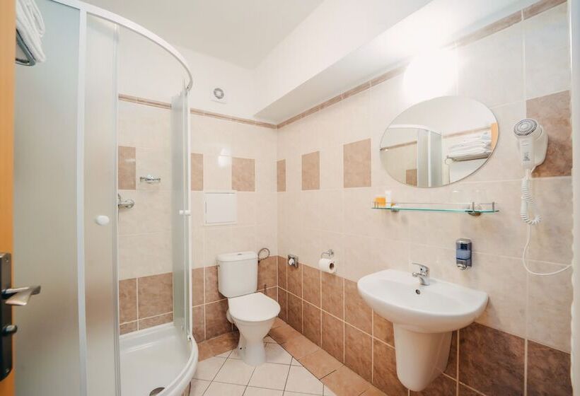 اتاق اکونومی, Colorfactory Spa Hotel   Czech Leading Hotels