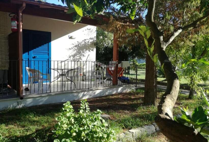 Apartamento 2 Dormitórios, Villaggio Sant'andrea