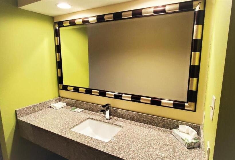 Стандартный Номер Кровать Кинг, Travel Inn And Suites  Sikeston Miner I 55 Exit 67