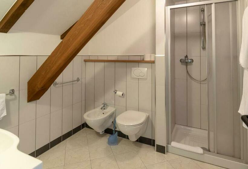 Номер Стандарт, Sporthotel Spoegler