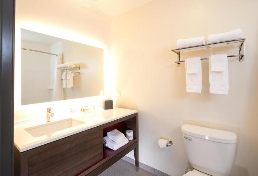 Стандартный Номер Кровать Кинг, Holiday Inn Hotel & Suites   Mount Pleasant, An Ihg