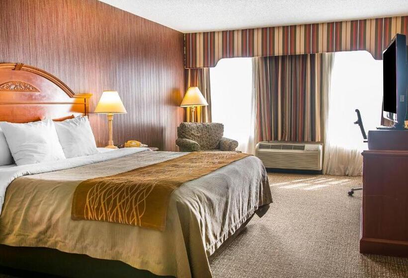 带大床的标准间, Comfort Inn