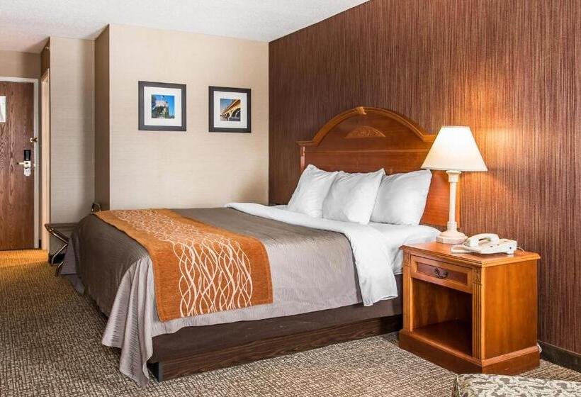 带大床的标准间, Comfort Inn