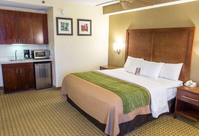 Люкс Кровать Кинг, Comfort Inn Hammond