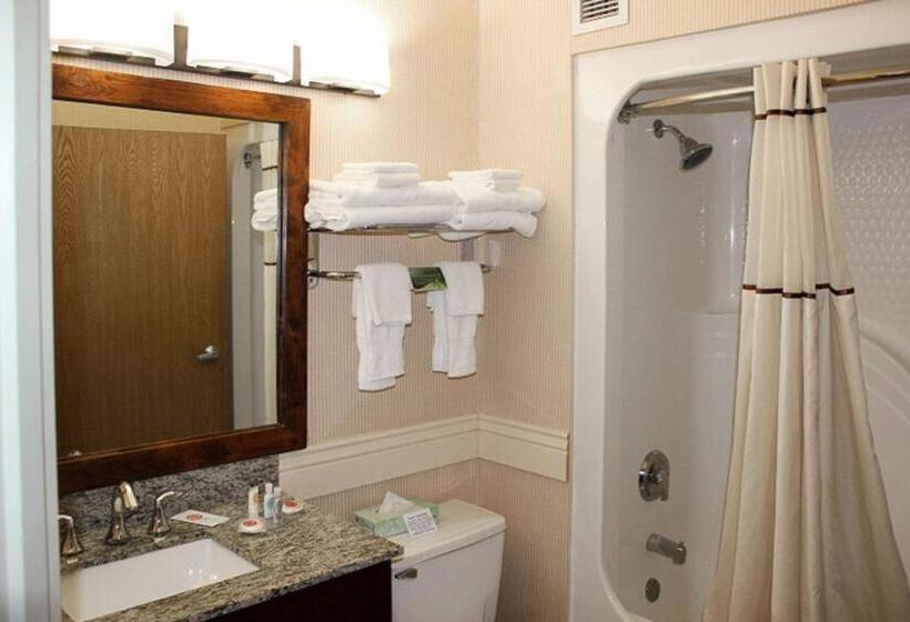 스탠다드 룸 더블 침대 2개, Comfort Inn Richfield I70