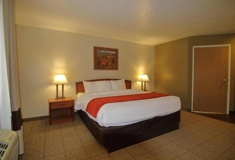 스탠다드 룸 킹사이즈 침대, Comfort Inn Richfield I70