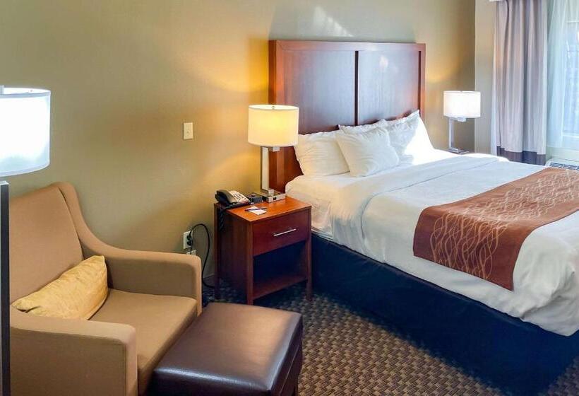 キングサイズベッドのスタンダードルーム, Comfort Inn & Suites Midtown