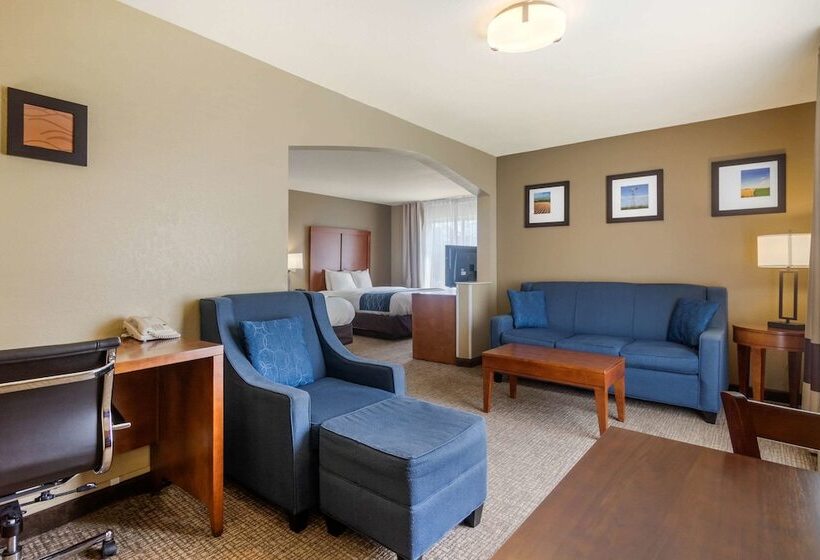 Люкс, Comfort Inn & Suites