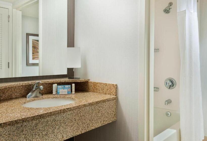 اتاق استاندارد با 2 تخت دوبل, Courtyard Asheville