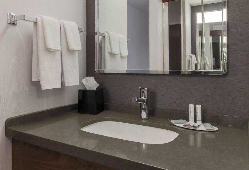 스탠다드 룸 킹사이즈 침대, Courtyard By Marriott Denver Golden/red Rocks