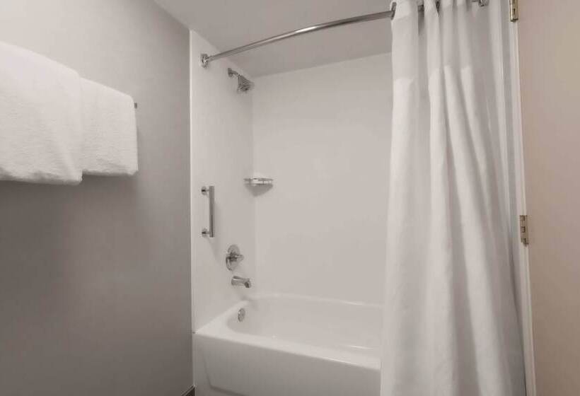 스탠다드 룸 더블 침대 2개, Courtyard By Marriott Denver Golden/red Rocks