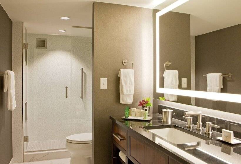 Suite Executive, Hilton Nashville Downtown