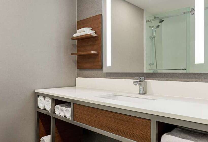 Suite, Hilton Nashville Downtown