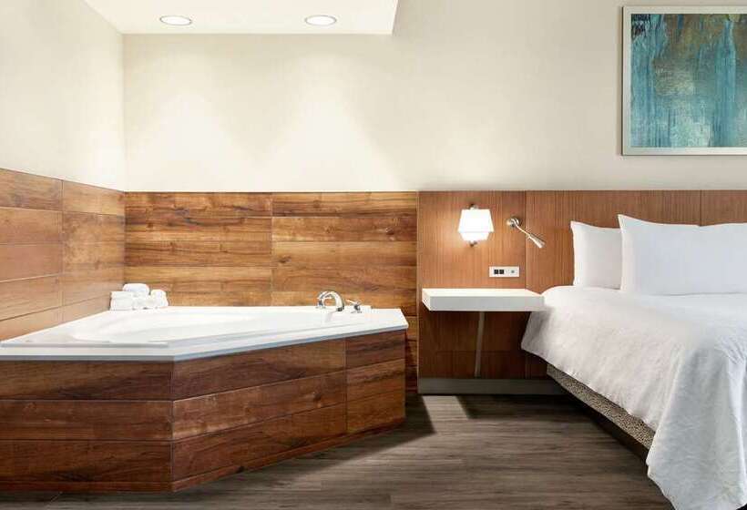 Suite, Hilton Nashville Downtown
