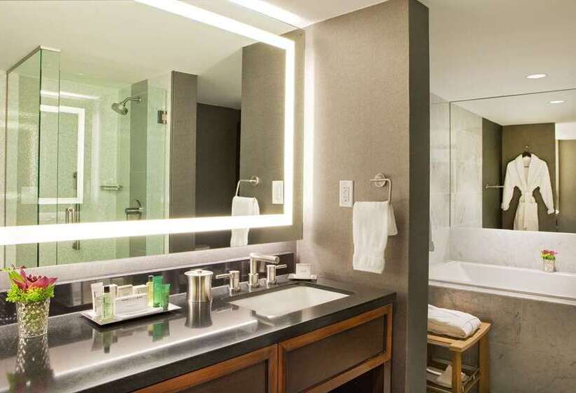 Suite, Hilton Nashville Downtown