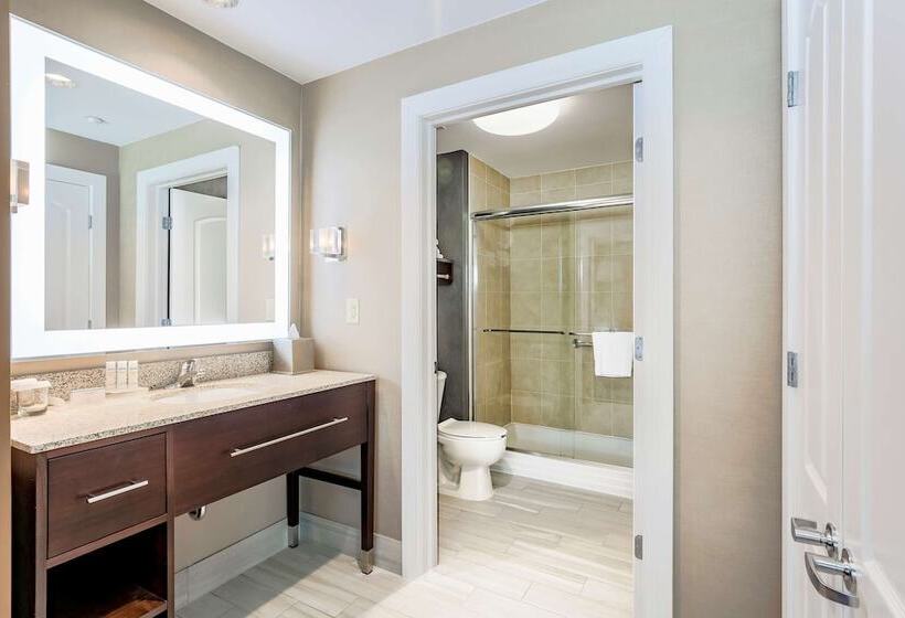 Люкс 2 Спальни, Homewood Suites Melville
